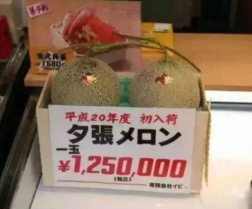 娱乐吃瓜作品有哪些,盘点热门娱乐八卦作品 第3张 娱乐吃瓜作品有哪些,盘点热门娱乐八卦作品 第3张